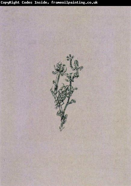 Paul Klee Giant aphid